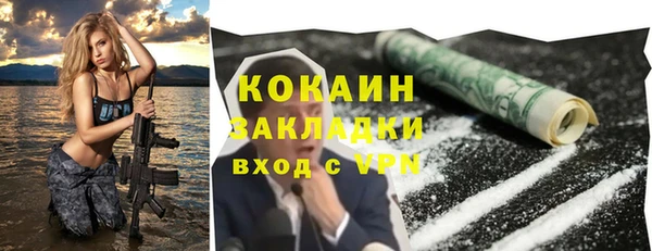 шишки Баксан