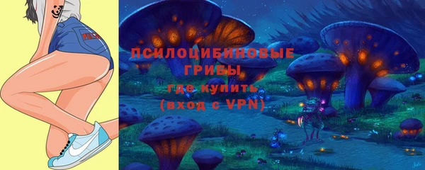 шишки Баксан