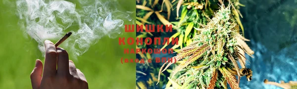 шишки Баксан