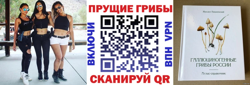 Псилоцибиновые грибы Magic Shrooms сколько стоит Ладушкин